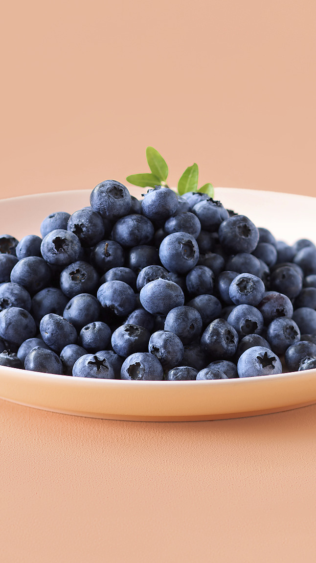 Waldheidelbeeren_detail_45090