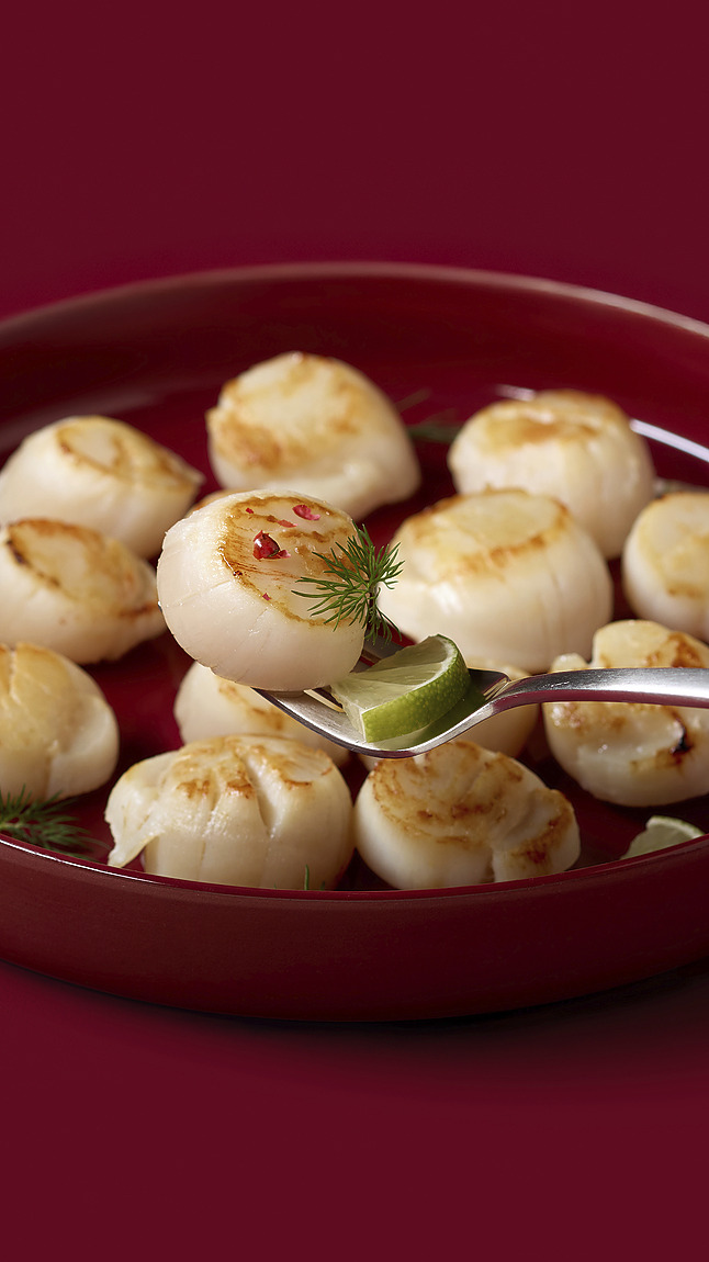 Jakobsmuscheln_detail_8211