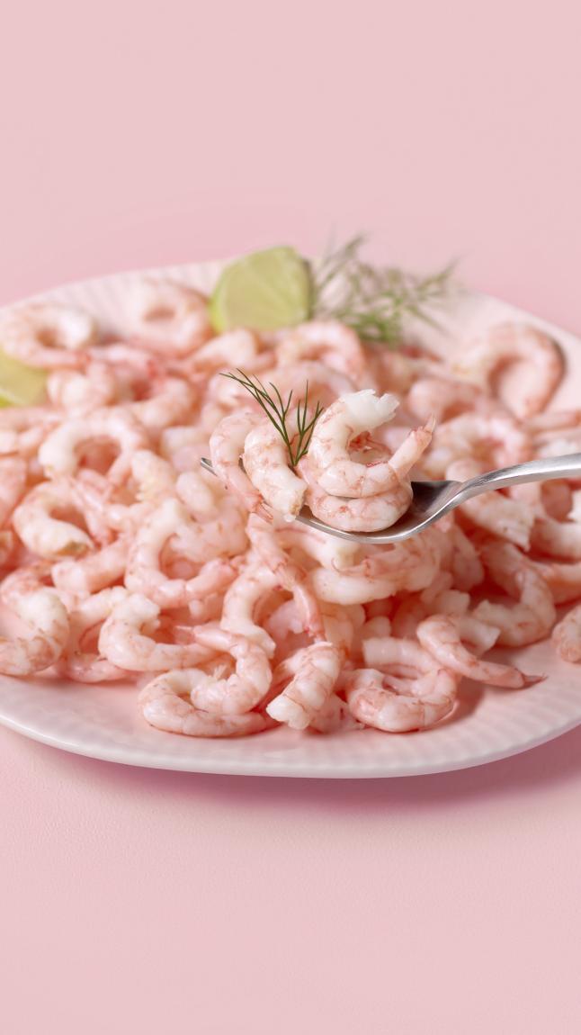 Tiefseegarnelen_detail_6351