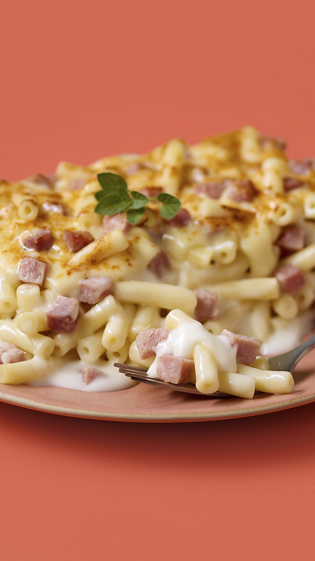 Makkaroni-Auflauf_detail_2443