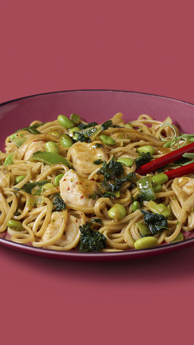 Asia_Haehnchenpfanne_Kung_Pao_detail_35071