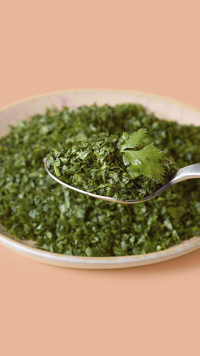 Koriander_detail_34226