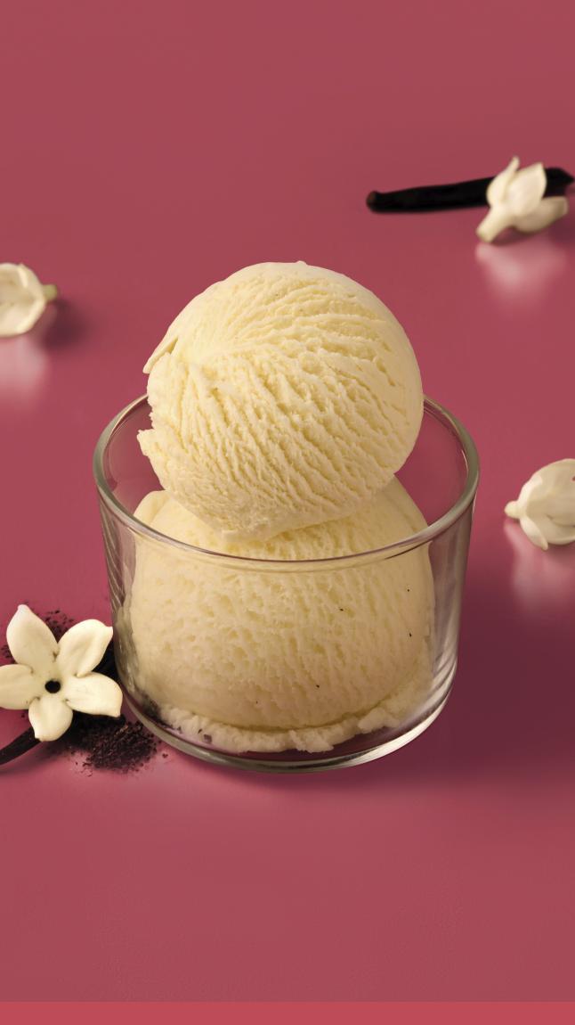 BIO_Vanille_Eis_web_40002