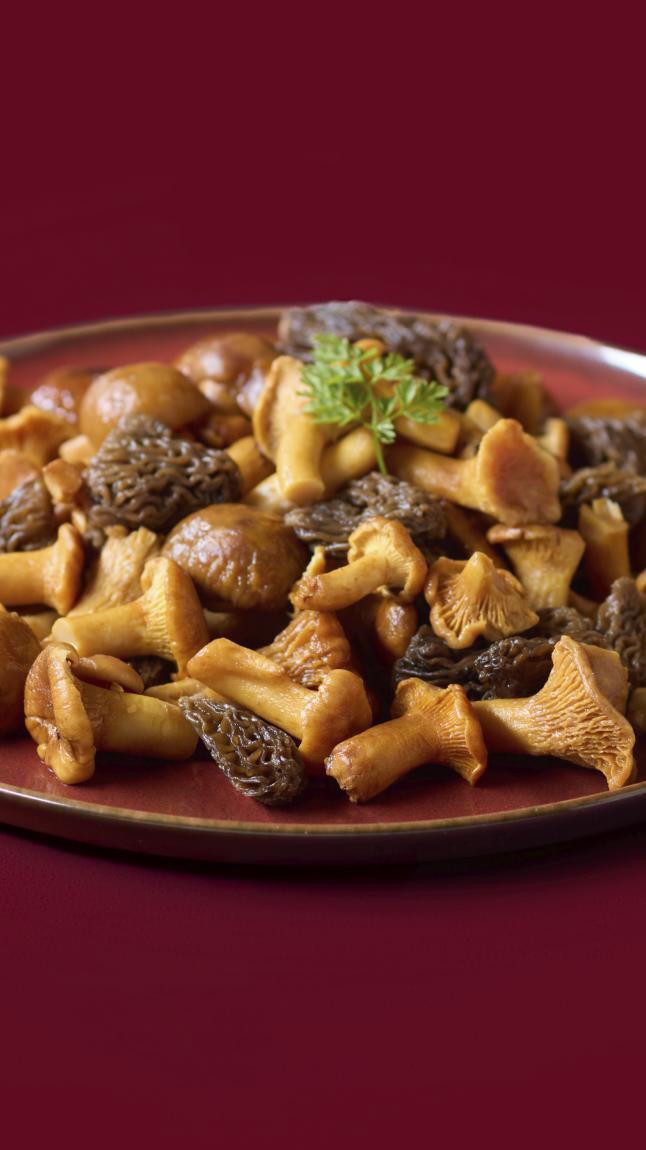 Feine_Wildpilz-Auslese_detail_2873 Feine_Wildpilz-Auslese_detail_2873