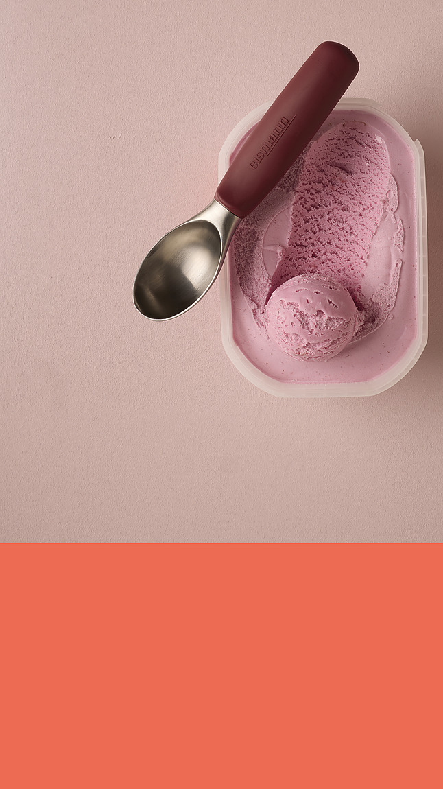 Eisportionierer_web_75007 Eisportionierer_web_75007