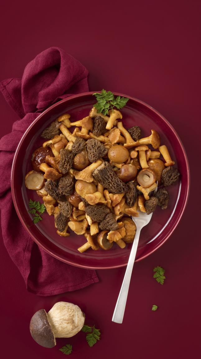 Feine_Wildpilz-Auslese_web_2873 Feine_Wildpilz-Auslese_web_2873